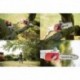 Cordless Telescopic Pruning Saw 20V 2Ah Ikra ICPS 2020